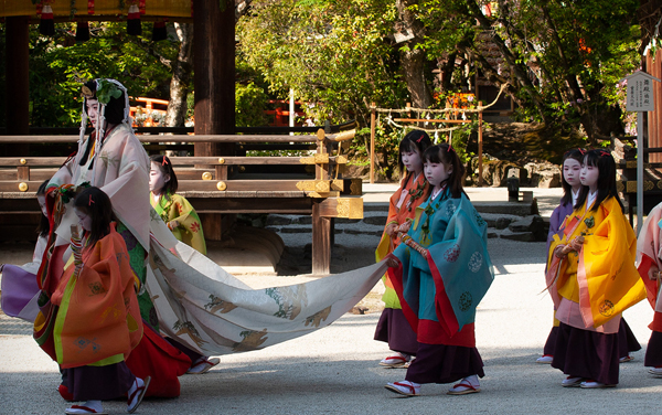 二葉葵と上賀茂神社